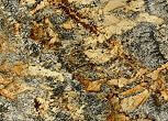 Giallo Platinum