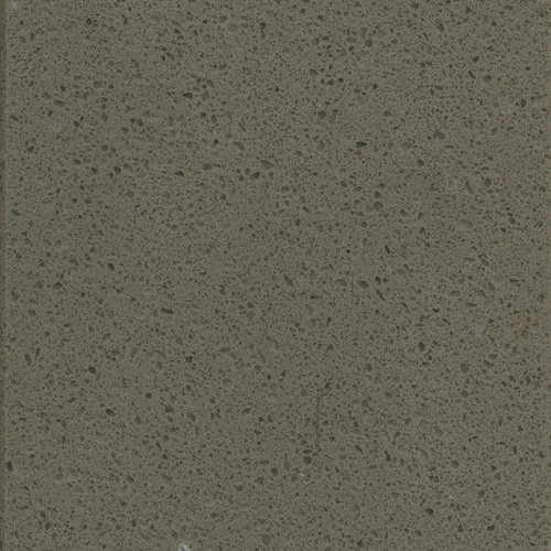 TS495